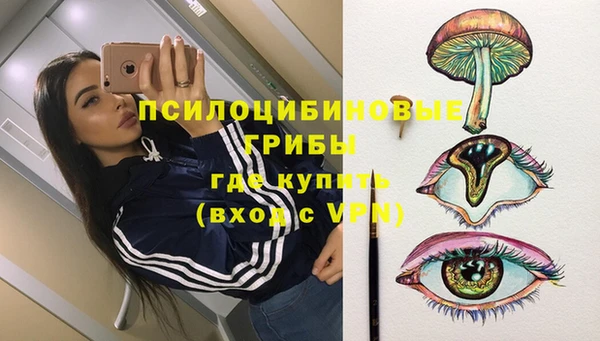СК Алексеевка