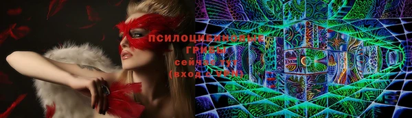 СК Алексеевка