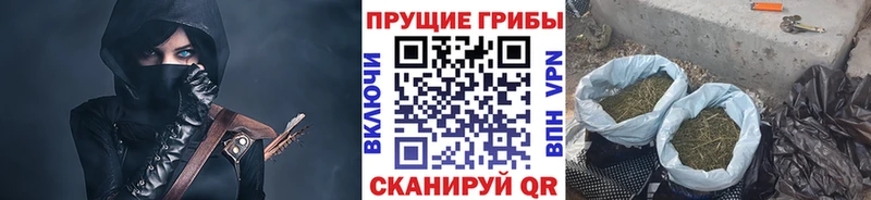 Галлюциногенные грибы Cubensis  купить наркотики сайты  даркнет формула  Большой Камень 